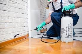 Best Pest Prevention Services  in Indio, CA